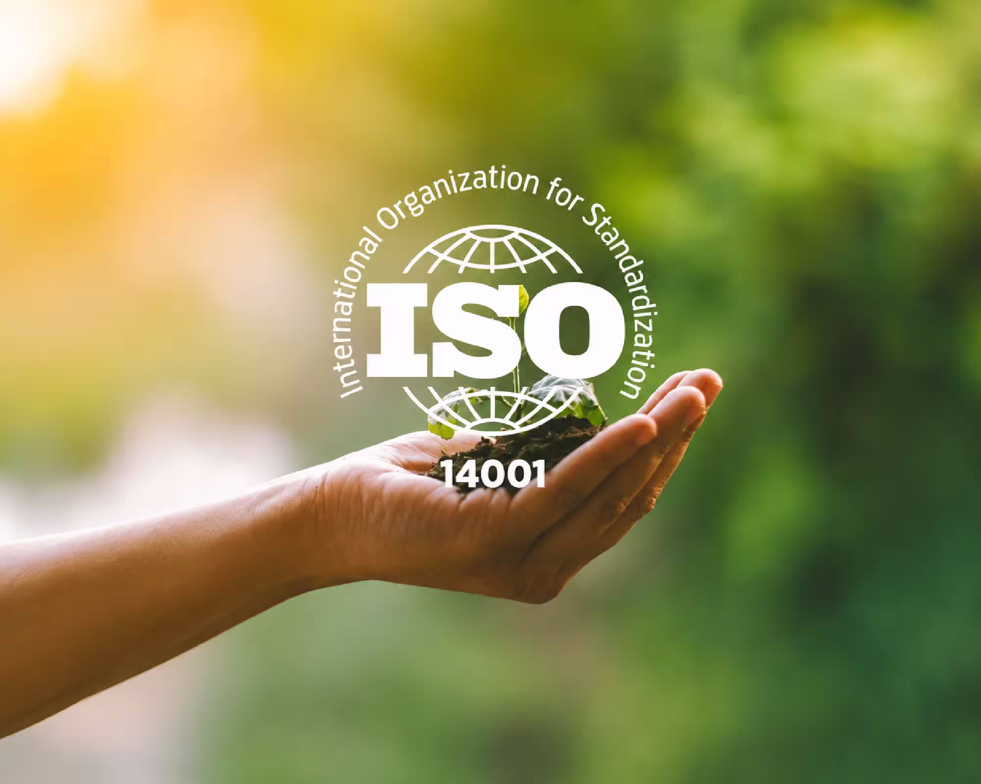 ISO 14001:2015 Environmental Management System (EMS) Certification